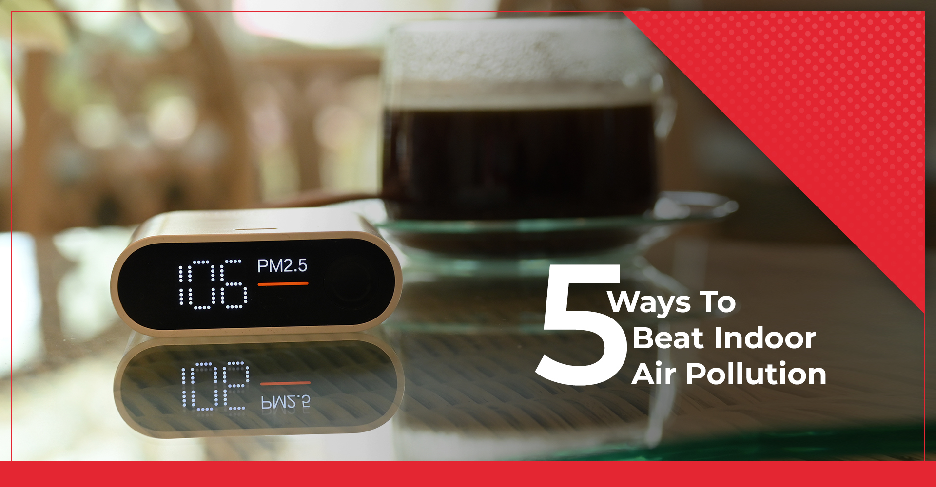 5 Ways to Remove VOCs from Your Home & Bring Down Indoor Air Pollution